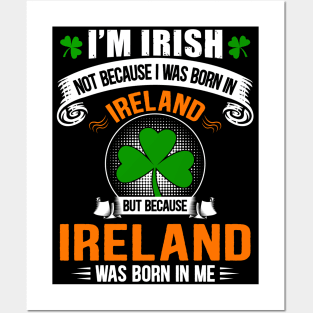 Ireland Was Born In Me Posters and Art